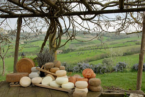 Pienza Pecorino cheese tour