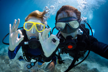 Diving Adventure Tour in Máncora's Marine Life