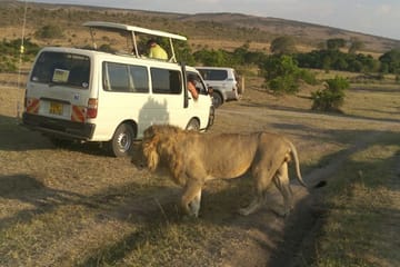 3-Day Camping Safari in Maasai Mara National Reserve, Kenya