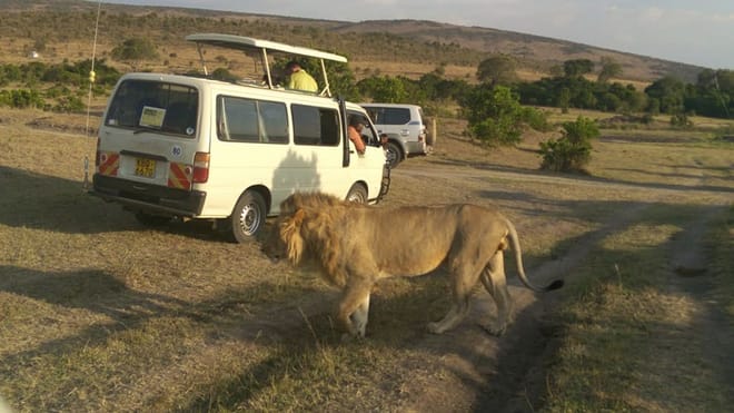 3-Day Maasai Mara Camping Safari photo 5