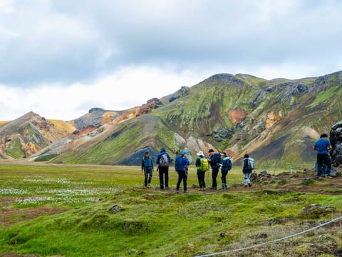 Landmannalaugar Hiking, Nature Bath & Háifoss Tour