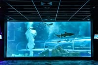 Aquario With Olympic Boulevard Rio de Janeiro 5