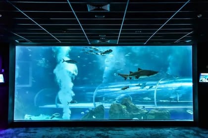 Aquario With Olympic Boulevard Rio de Janeiro