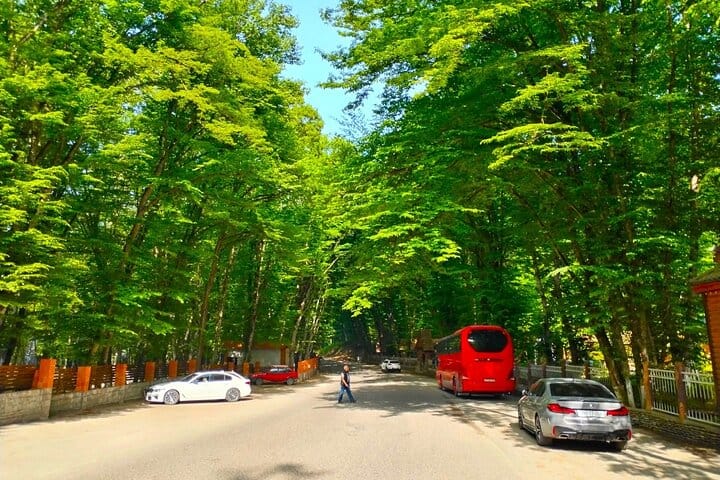 Guba-Quba tour-Guba tour-quba-tour-guba-tour_Quba_tour_guba_tour_ Qechresh forest