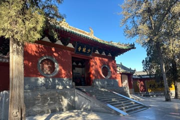 Day Trip from Xi'an to Luoyang: Longmen Grottoes & Shaolin Temple