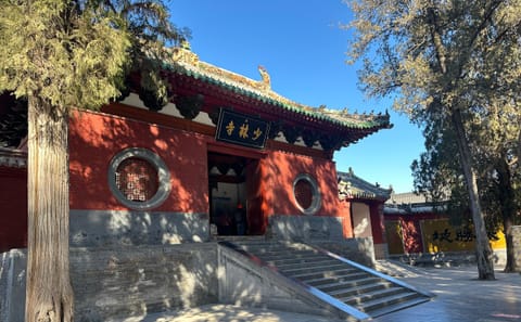 Day Trip from Xi'an to Luoyang: Longmen Grottoes & Shaolin Temple