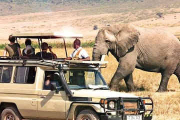 5Days Best Camping Safari in Tanzania Parks