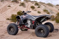 Quad Ride Experience in Marrakech 6