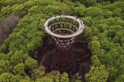 Møns klint and The Forest tower – A day tour from Copenhagen