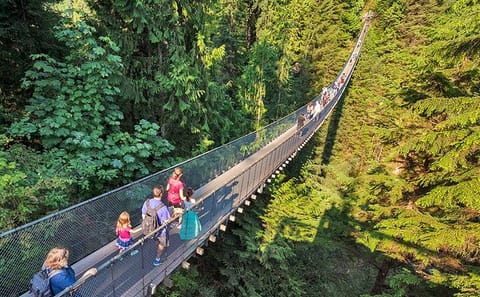 Vancouver City Tour with Stanley Park and Grouse Mountain