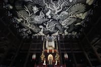4.5-Hour Kyoto Bike Tour with Lunch and UNESCO Zen Temples 5