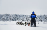 Husky Farm Visit with Husky Safari 10km - Saariselkä 10