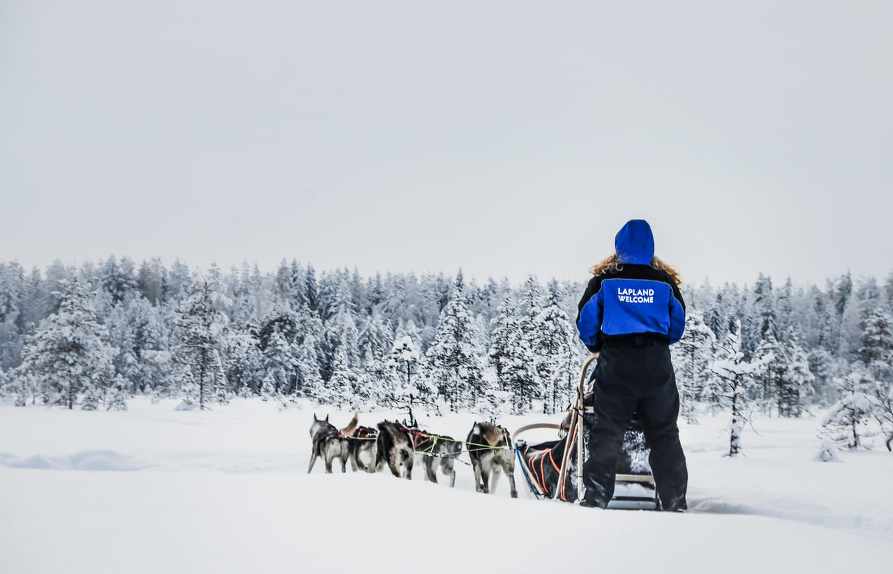 Husky Farm Visit with Husky Safari 10km - Saariselkä 10