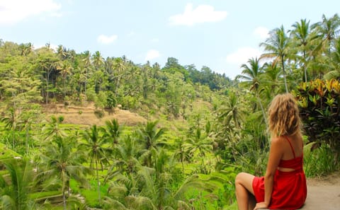 Best of Ubud with Jungle Swing Tour