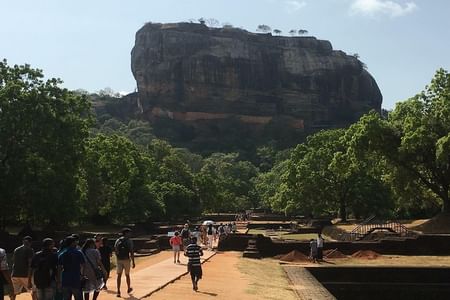 Day Tour to Dambulla & Sigiriya from Colombo Group (4- 15 people)