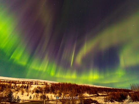 Aurora in Eyjaford