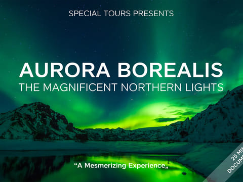 Northern Lights by Boat with a Backup Plan, photo 2