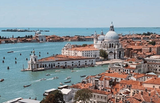 Tour leader at disposal