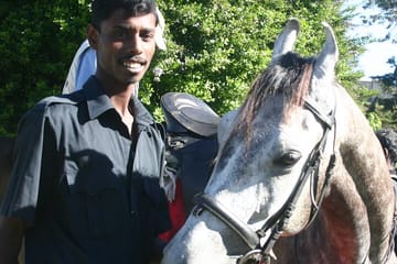 4-Hour Guided Horse Riding Tour in Nuwara Eliya