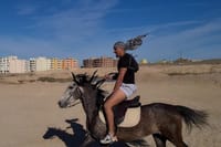 2 Hours Desert Horse Riding Adventure with Transfer - Marsa Alam