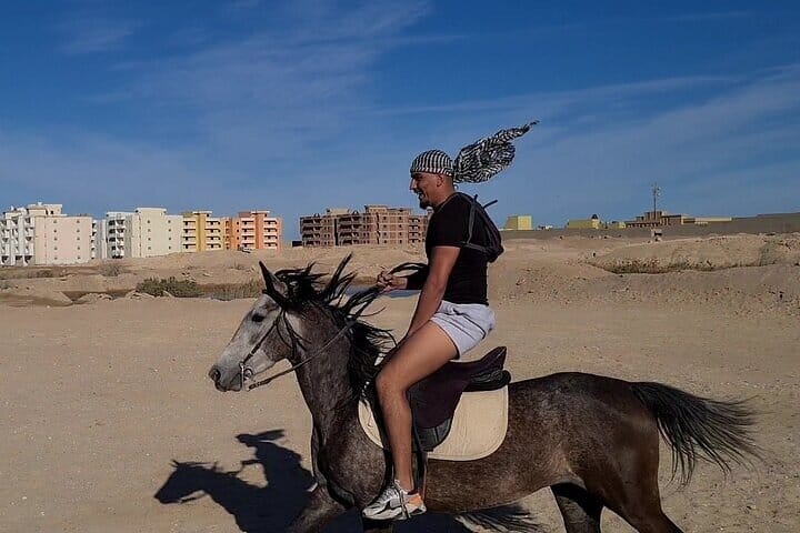 2 Hours Desert Horse Riding Adventure with Transfer - Marsa Alam