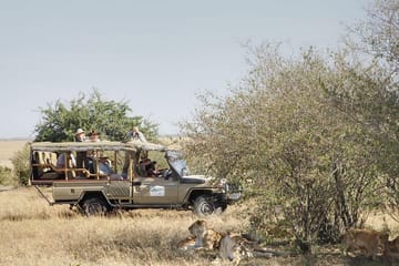 4-Day Safari Adventure in Nairobi and Maasai Mara, Kenya