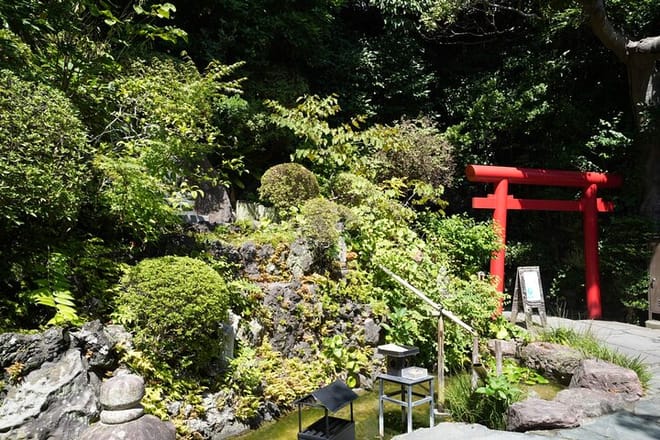 Kamakura Early Morning Tour (Tokyo Departure Available) 9