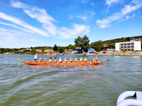 Dragon Boats Experience