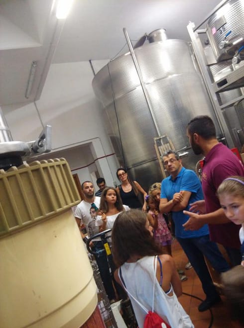Guests at Rapino's winery