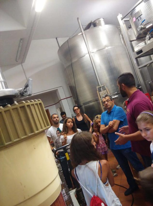 Guests at Rapino's winery