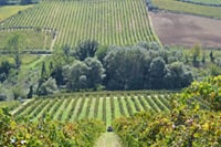 Visita guidata alla cantina Valle Martello 3