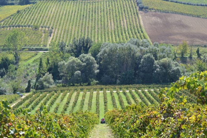 Visita guidata alla cantina Valle Martello 3
