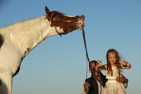 One Hour Horseback Riding Trip with Transfer - Sharm El Sheikh