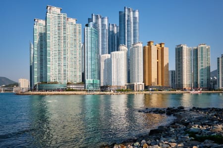 Customizable Private Busan Tour: Discover Hidden Gems with a Local Guide