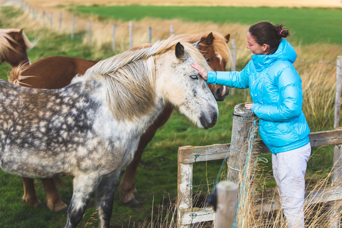 Woman petting horse
