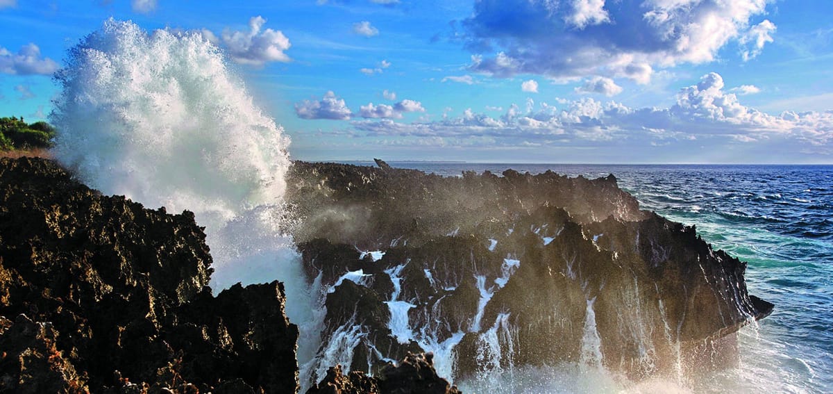 North Bali : Sunrise with Dholpin, Waterfall and Iconic Gate