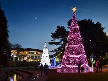 Walking Tour of Warsaw's Christmas Market and Old Town