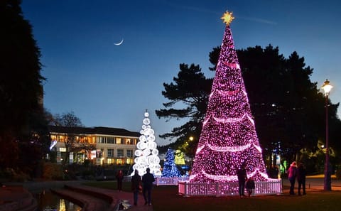 Walking Tour of Warsaw's Christmas Market and Old Town