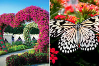 Dubai Miracle & Butterfly Garden Entrance Tickets 1
