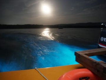 Luminous Lagoon Tour