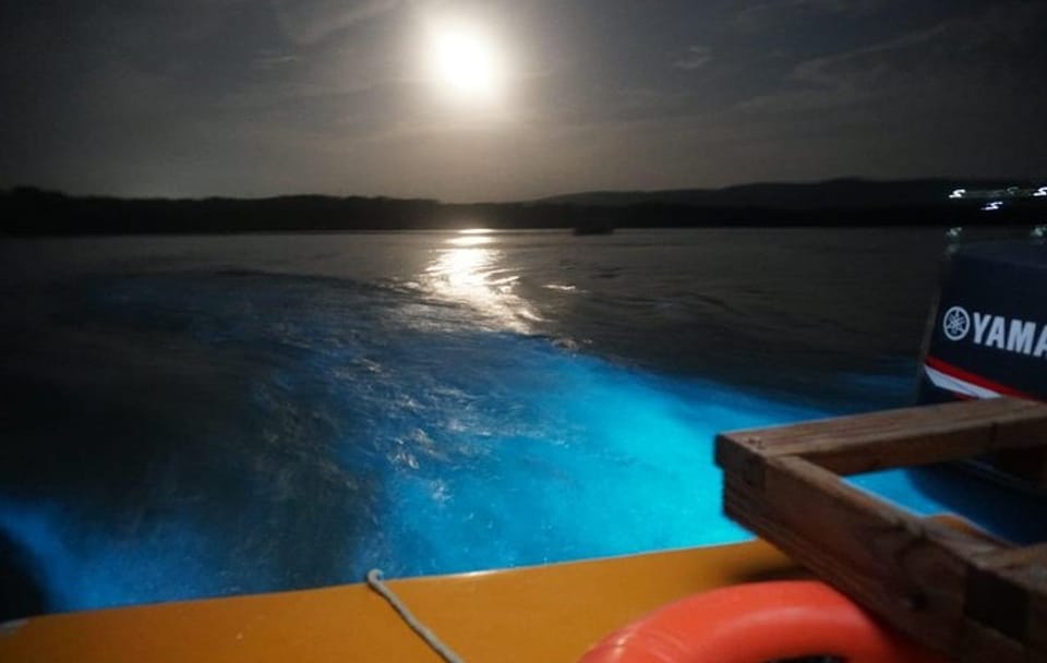 Luminous Lagoon Boat Tour from Montego Bay Hotels