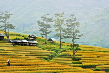 Hiking and Nature Adventure in Mai Chau from Hanoi