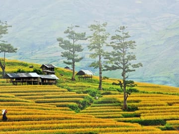 Hiking and Nature Adventure in Mai Chau from Hanoi