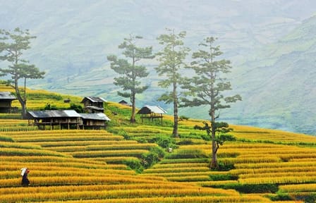 Adventure in Mai Chau 2 days 1 night