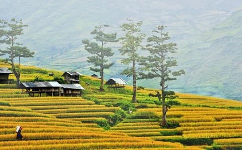 Hiking and Nature Adventure in Mai Chau from Hanoi