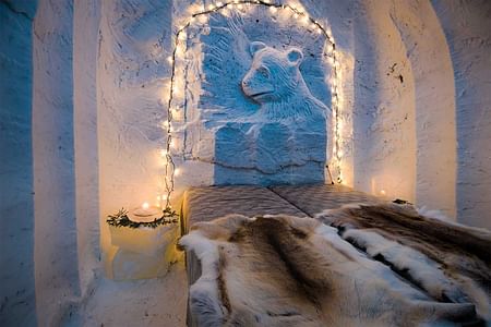 Exotic night in a snow igloo