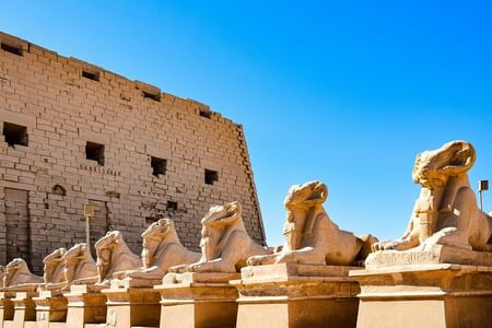 Half Day Tour of Luxor To Karnak & Luxor Temples (Private)