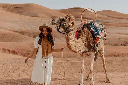 Dinner Under the Stars in Agafay Desert with Marrakech Pickup