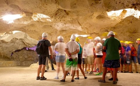 Guided Tour of Green Grotto Caves and Dunn's River Falls