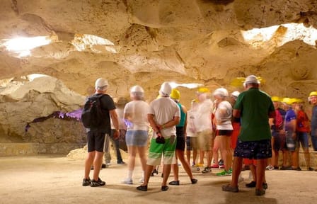 Guided Tour of Green Grotto Caves and Dunn's River Falls